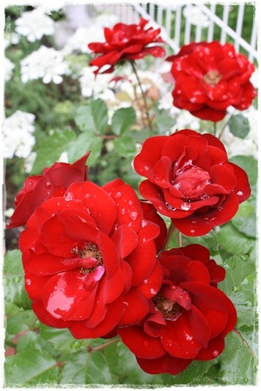059