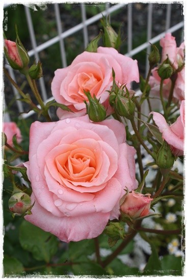 058