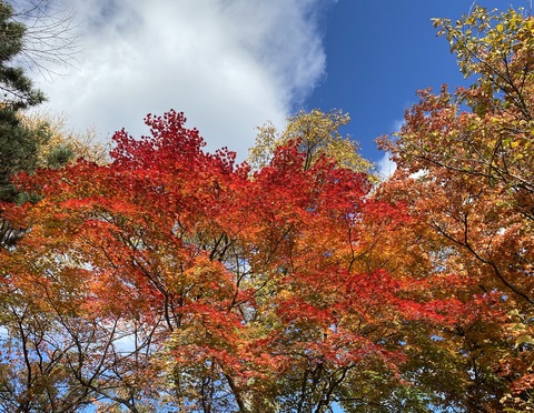 188DCE82-1E11-4252-8D6B-A9C457E3C35A