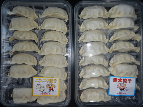 DSCN4096