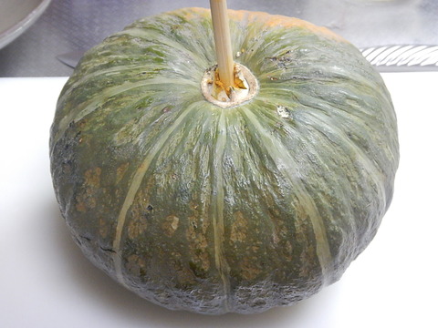DSCN0235