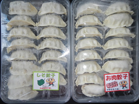 DSCN4097