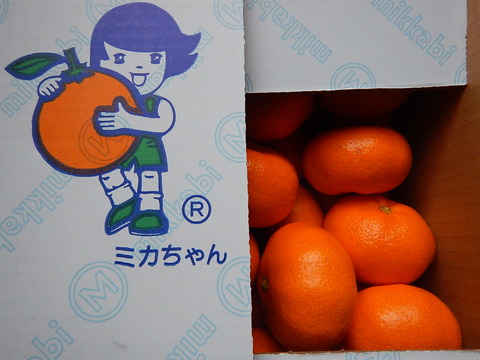 DSCN0370