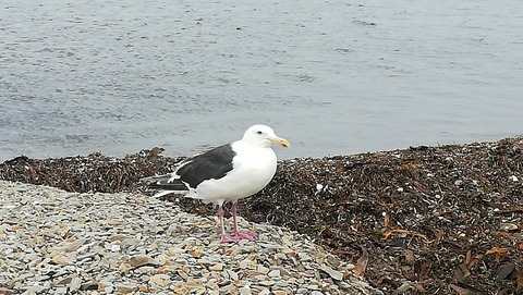 IMG_20190819_085150