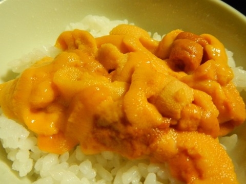 DSCN2842 (640x480)