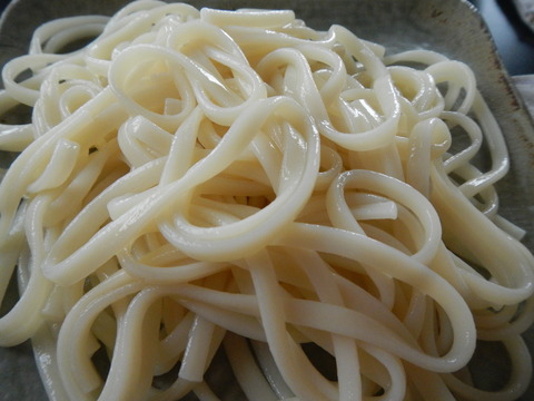 DSCN0431