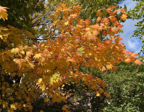 D666CA89-751C-414F-8D26-51FC9B01FA3C