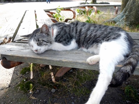 DSCN2452 (640x480)