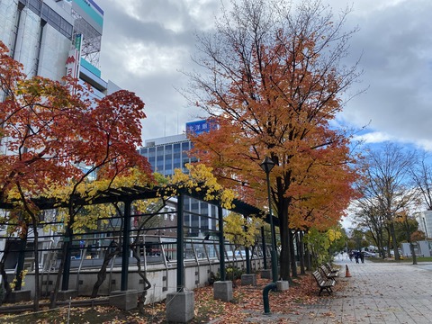 D8A75192-090D-4A7E-AE5C-148321DF4B5A