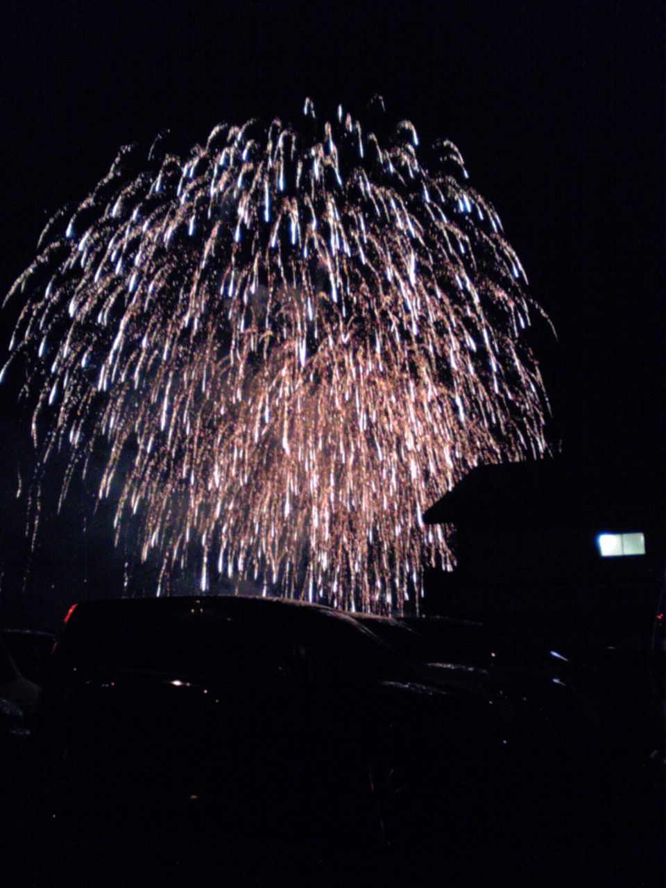 浅虫温泉花火大会 と 翌朝清掃活動 のお誘い 浅虫温泉まちブロ
