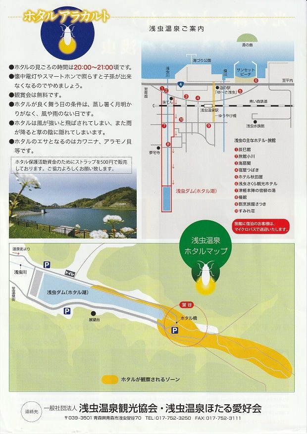 浅虫温泉ホタル観賞会 にご来場ありがとうございました 浅虫温泉まちブロ