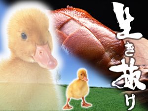 生き抜け
</div>
<div class= 生き抜け