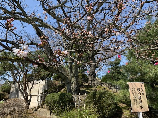 芦城公園 (3)