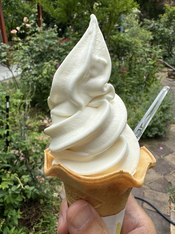 MooMooまきば (4)