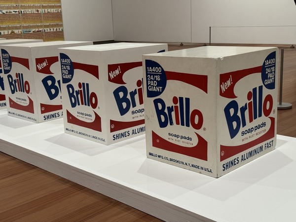 鳥取県立美術館 (30)