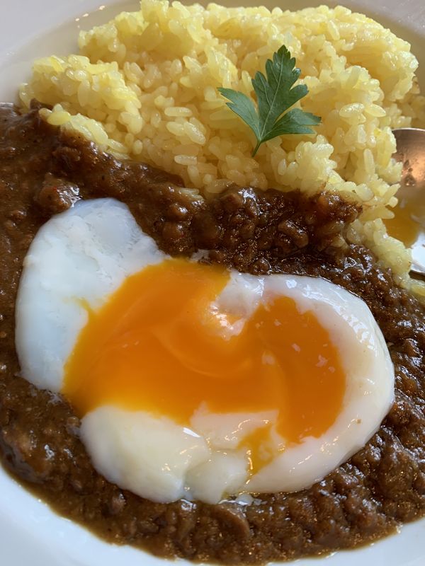 サルーンガンボ (12)