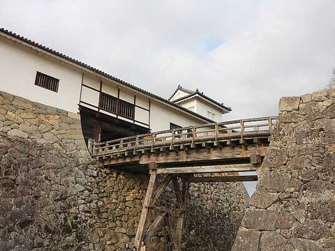 彦根城 (2)