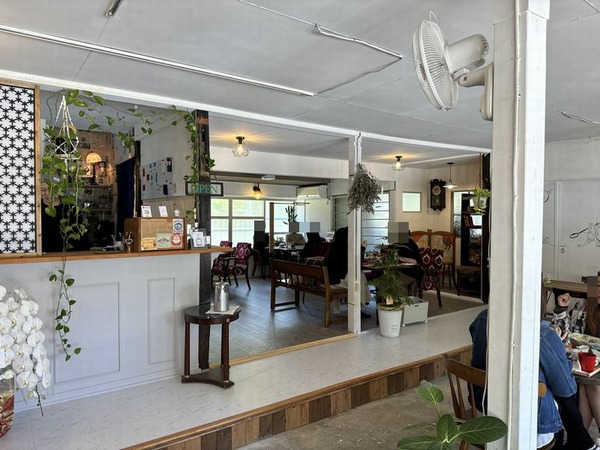 ハヤシメシ (16)