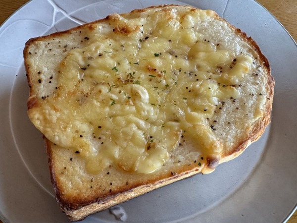 カナルブレッド. (10)