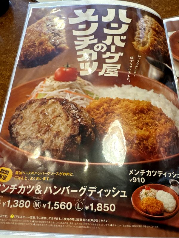 びっくりドンキー 小松店 (4)