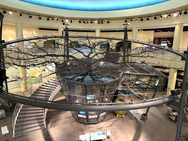 倉吉パークスクエア (9)