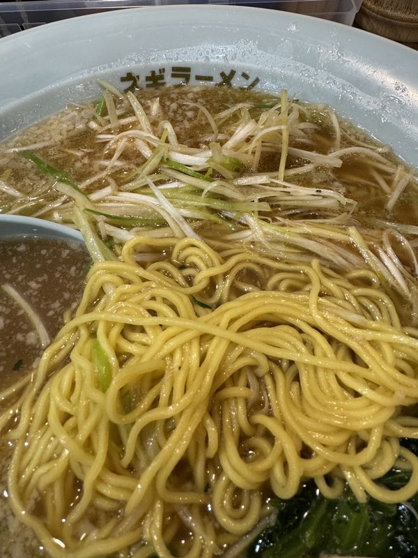 椿ラーメンショップ白山 (5)
