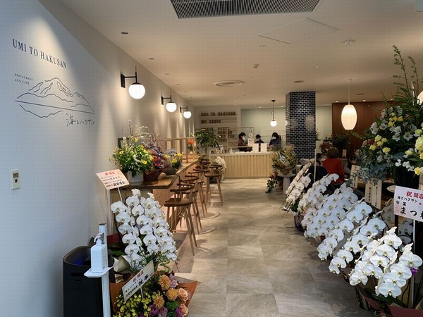 海とハクサン (12)