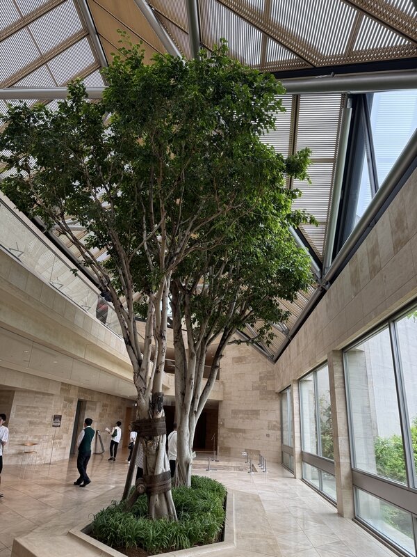 MIHO MUSEUM (3)
