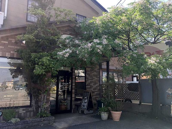 アルムの森 (10)