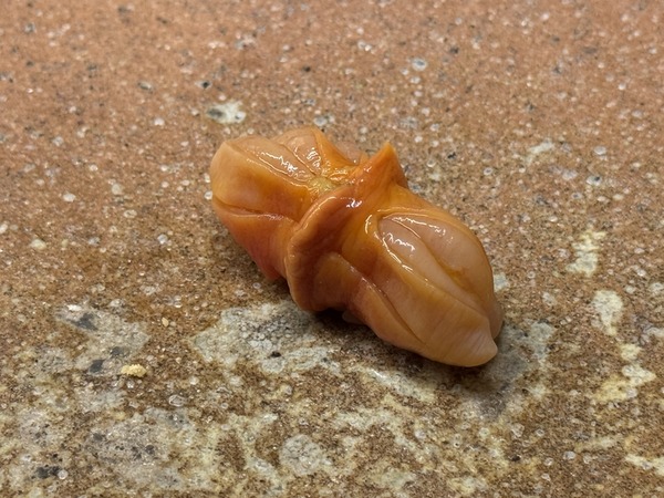 すし家 祥太 (27)