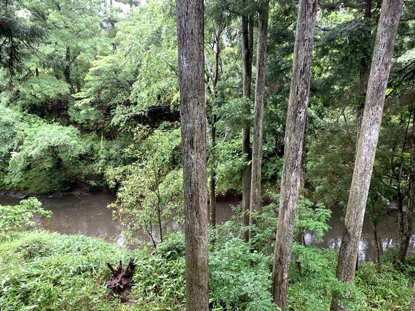 ラプティトゥポルト (19)