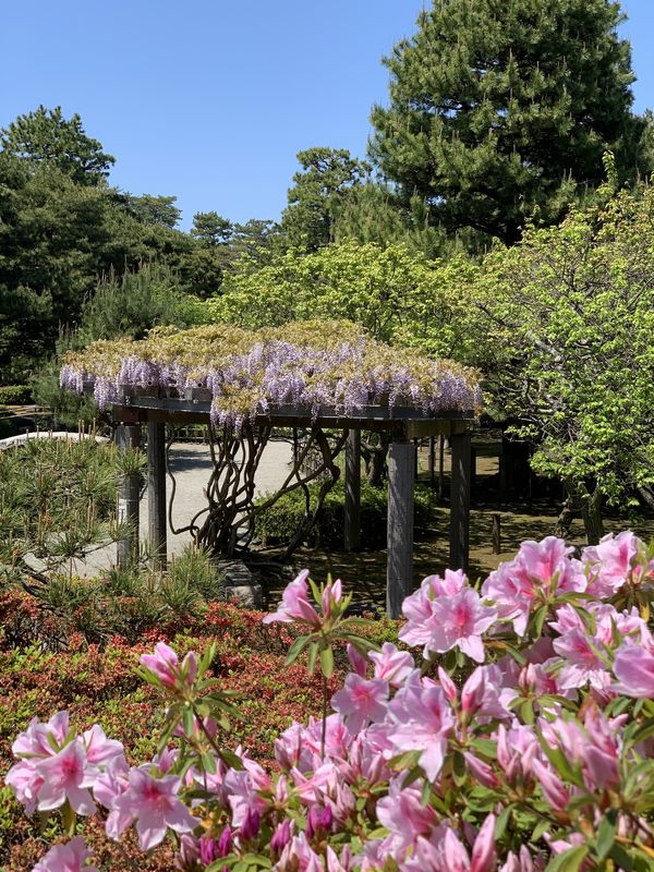 芦城公園 (21)