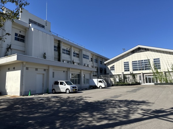 ホームメイドアップルパイmiy (23)