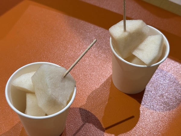 倉吉パークスクエア (13)