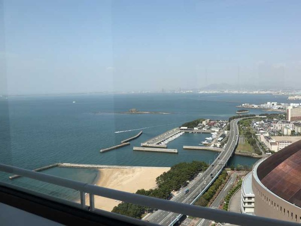 シーホーク (32)