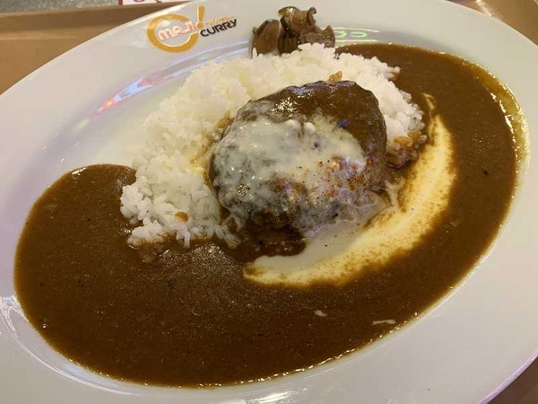 マジカレー (10)