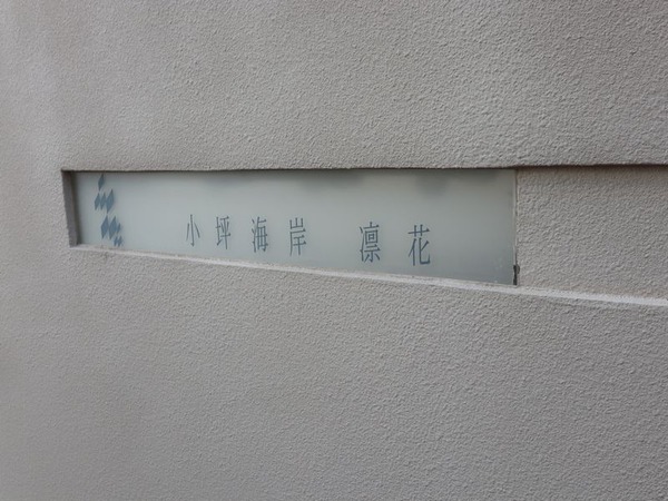 小坪海岸 凛花 (35)