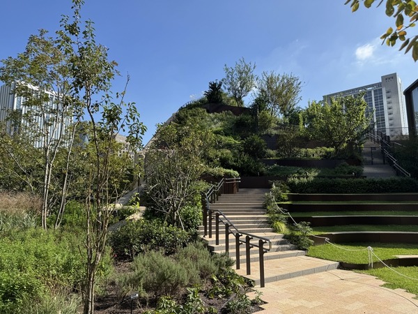 麻布台ヒルズ (13)