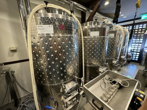 アラフェルムドゥシンジロウ (9)