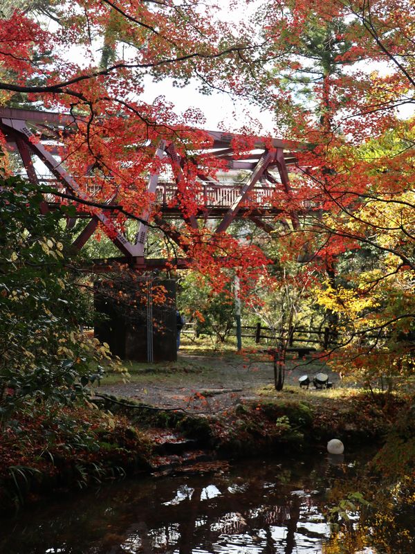 山中温泉 (9)