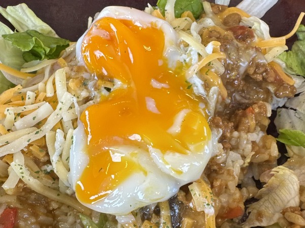 すき家 (8)