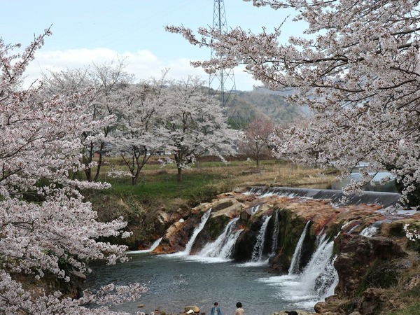布橋十二ヶ滝 (6)
