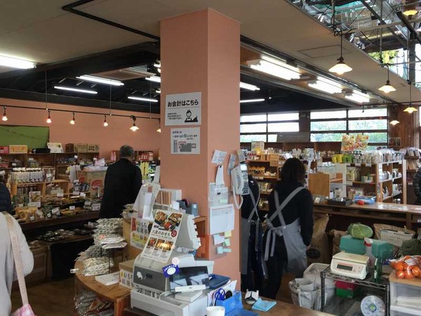 むっつぼし (14)