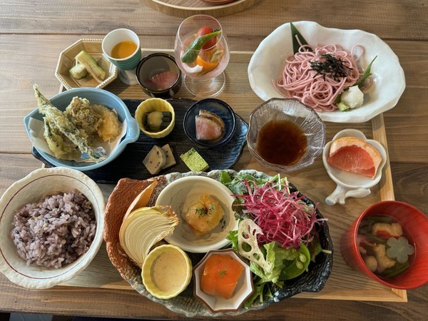 ハヤシメシ (11)