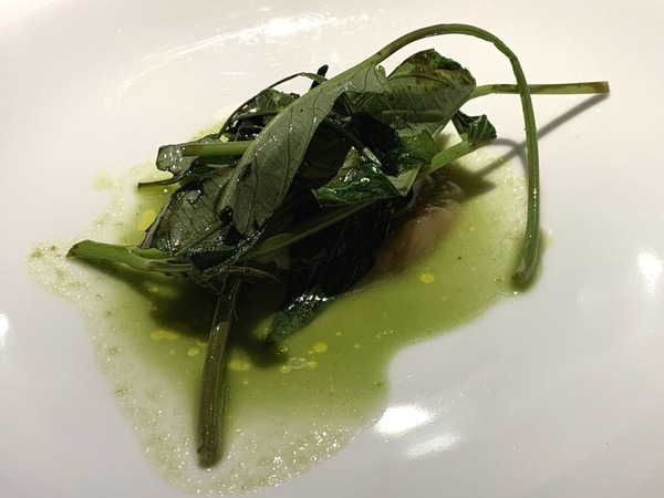 イルノード (24)