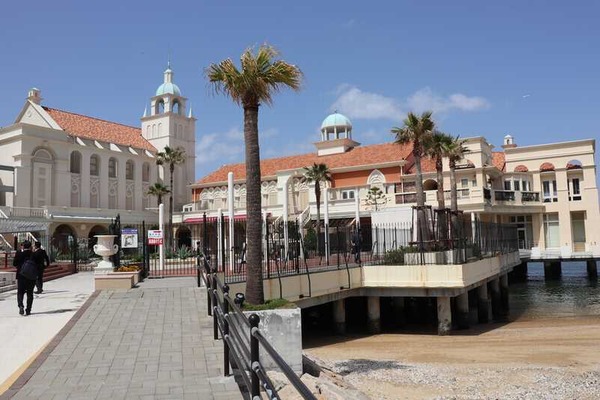 シーサードももち (5)