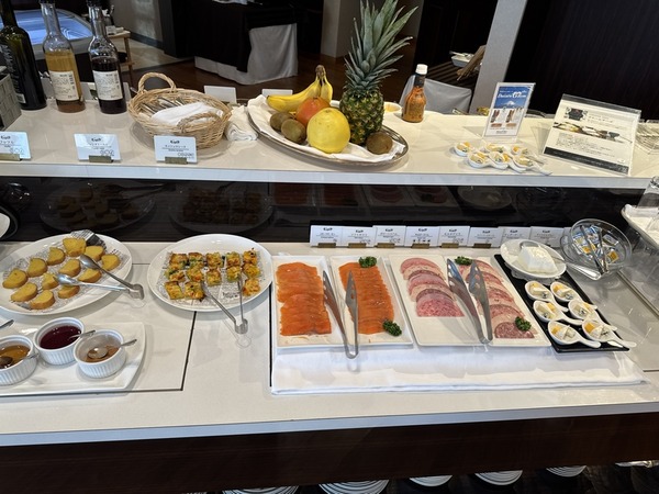 ＡＮＡクラウンプラザホテル米子 (14)