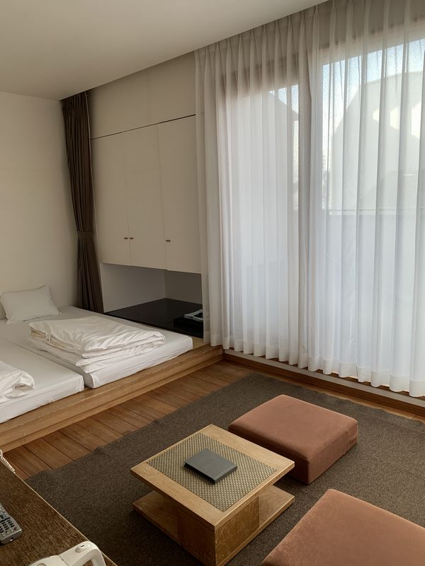 小坪海岸 凛花 (43)