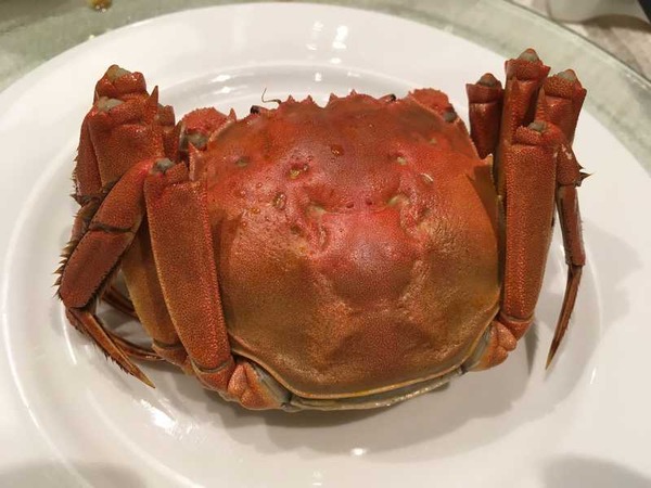 金沙温泉倶楽部 (7)