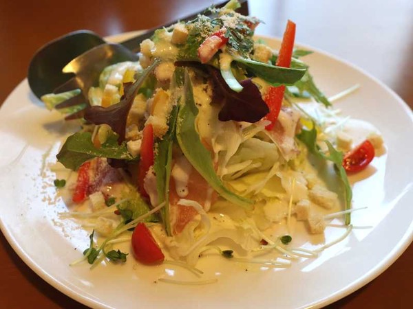 ノーサイド (12)